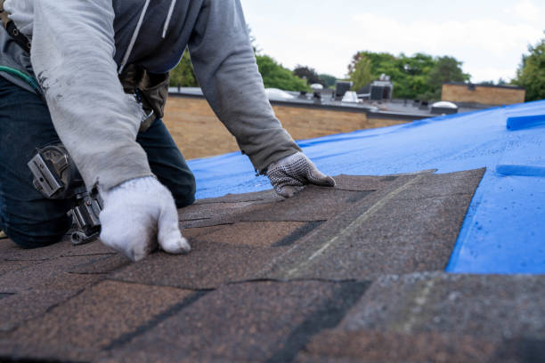 Best Best Roofing Contractors  in Michigan City, IN