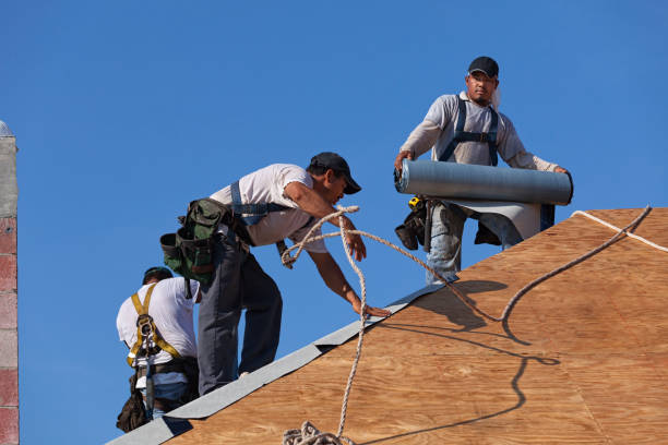 Best Roof Leak Repair  in Michigan City, IN